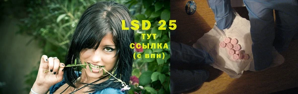крисы Баксан