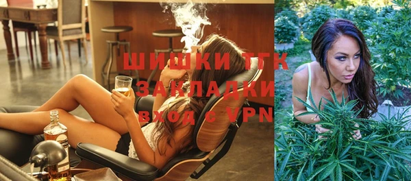 крисы Баксан