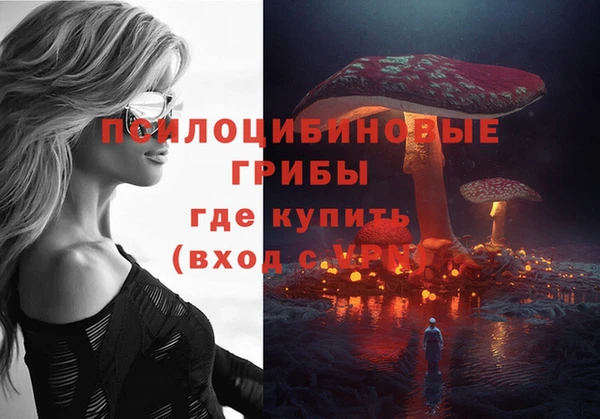 хмурый Балабаново