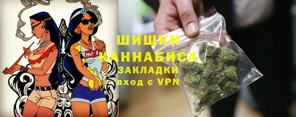 крисы Баксан