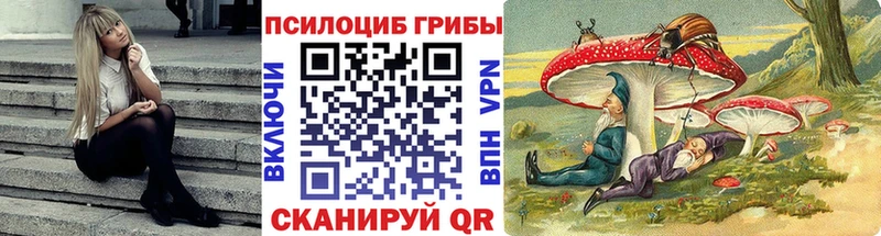 купить наркоту  Сортавала  Псилоцибиновые грибы Cubensis 